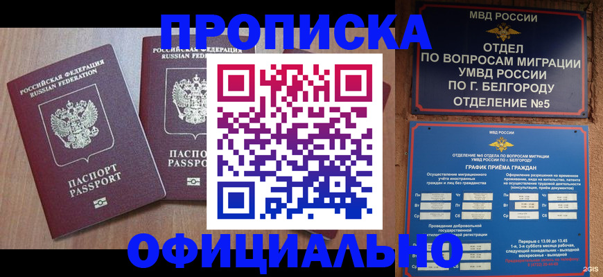 найти адрес прописки в Заринске